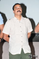 Krishna Gadi Veera Prema Gaadha Movie Success Tour